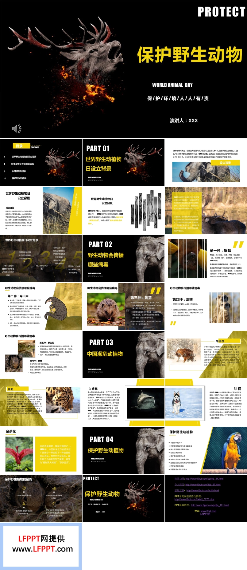 保護(hù)野生動物ppt幻燈片