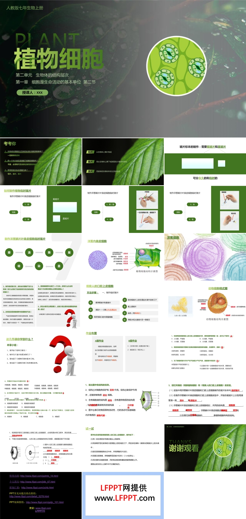 植物細胞ppt課件