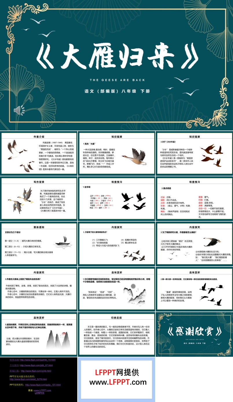 部編版大雁歸來PPT課件