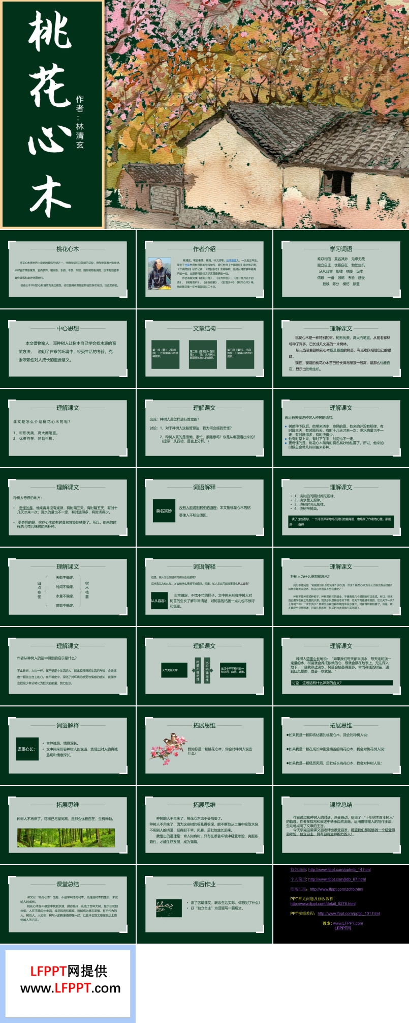 人教版桃花新木PPT課件