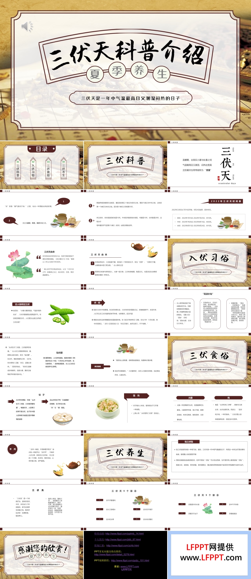 三伏天科普知識介紹PPT課件