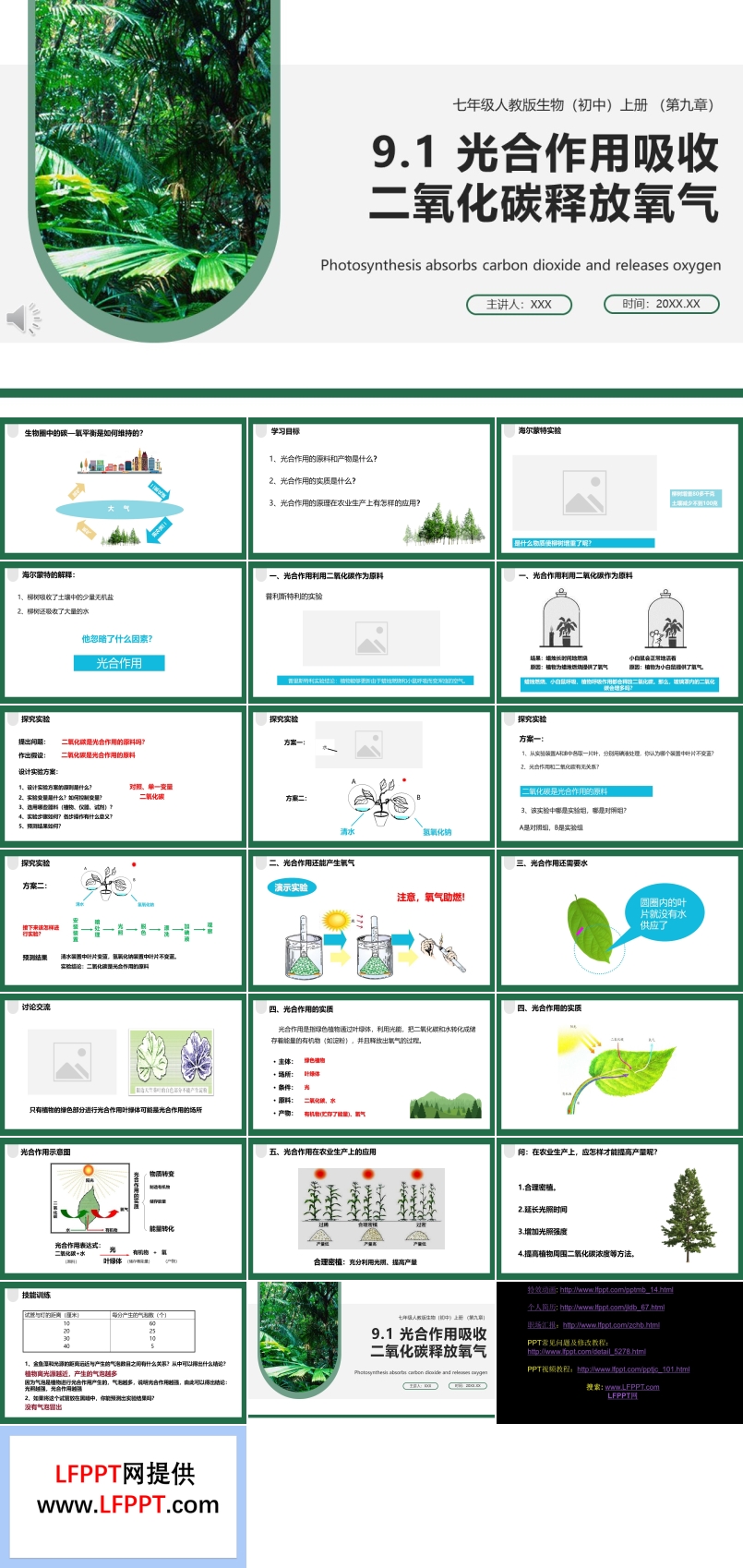 部編版七年級生物上冊光合作用吸收二氧化碳釋放氧氣課件PPT