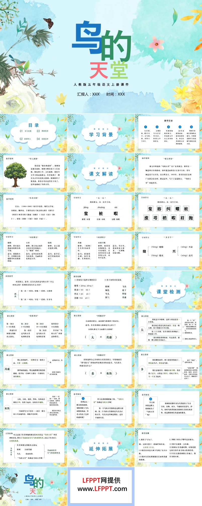 鳥(niǎo)的天堂ppt課件