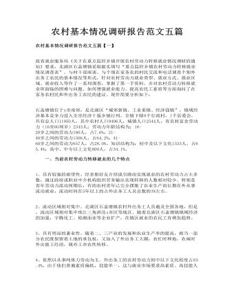 農村基本情況調研報告范文五篇