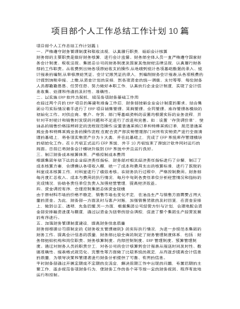 項目部個人工作總結(jié)工作計劃10篇