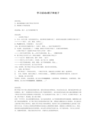 中班科學(xué)課件教案：稻子和麥子