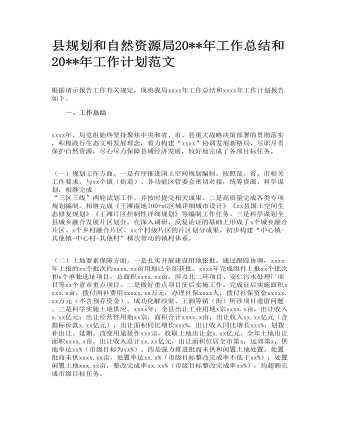縣規(guī)劃和自然資源局2022年工作總結和2023年工作計劃范文
