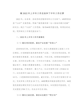 鎮(zhèn)2022年上半年工作總結(jié)和下半年工作打算