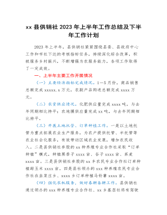xx縣供銷社2023年上半年工作總結(jié)及下半年工作計(jì)劃