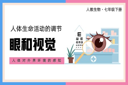 七年級(jí)下冊(cè)人體生命活動(dòng)的調(diào)節(jié)眼和視覺PPT課件