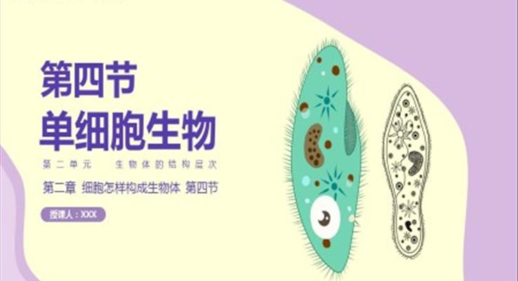 初中生物人教版七年級上冊《單細胞》教育教學(xué)課件PPT模板