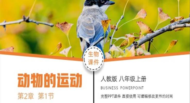生物八年級上冊動物的運(yùn)動PPT課件