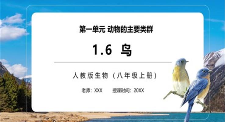 鳥PPT課件模板部編版八年級生物上冊